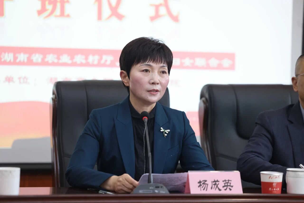 亚洲色欲久久久久综合网