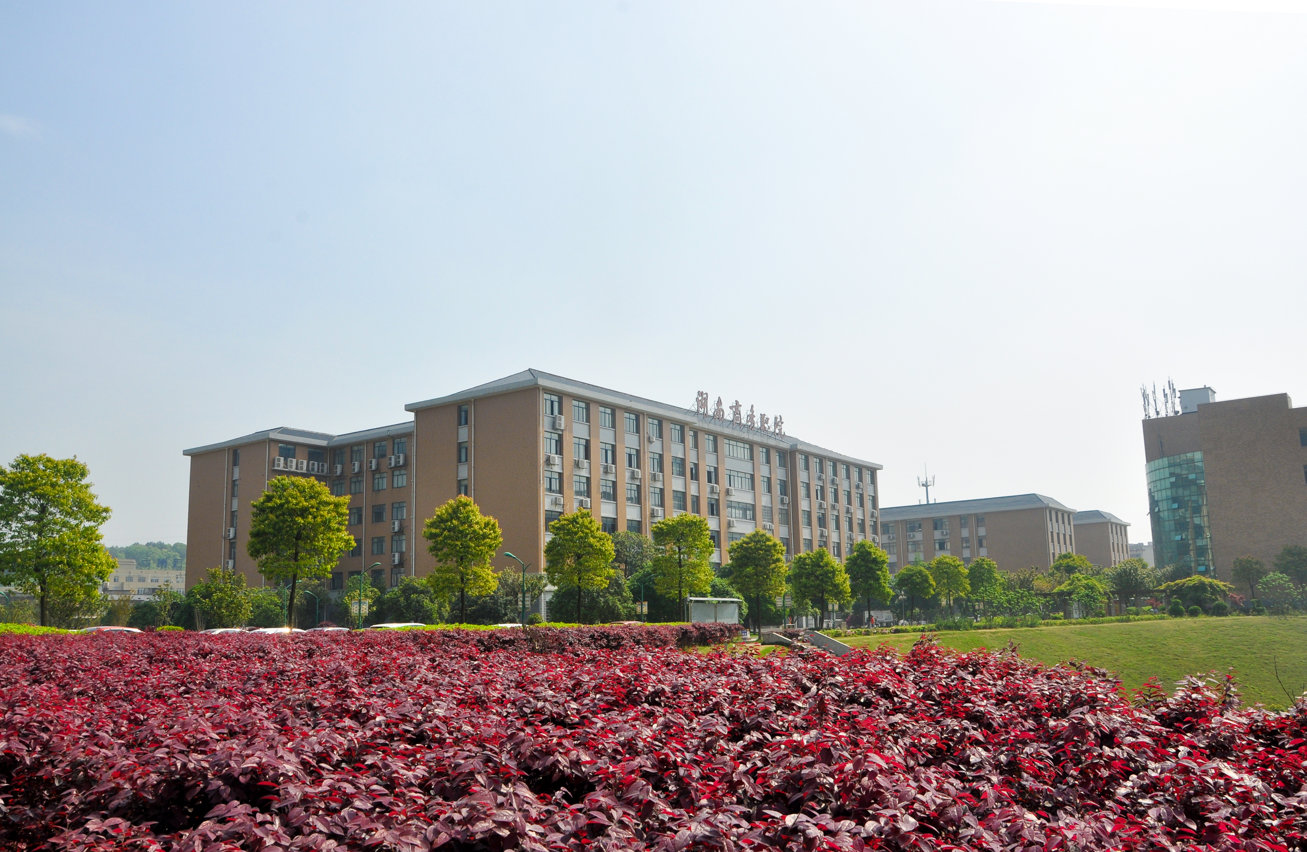 【图片新闻】学院风光之"春意闹"_湖南商务职业技术